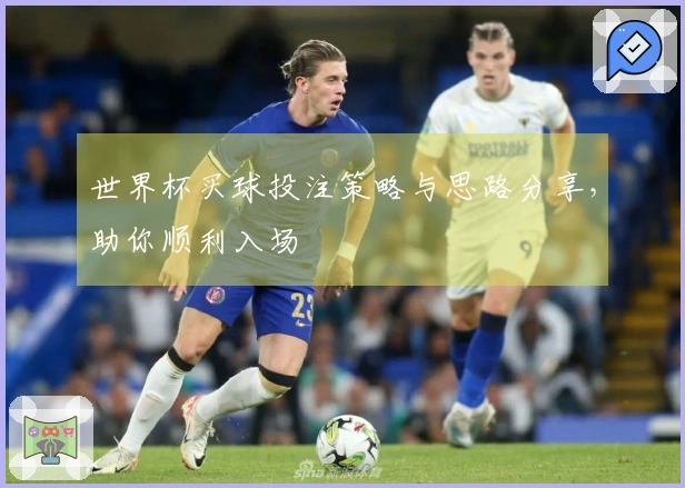 世界杯买球投注策略与思路分享，助你顺利入场