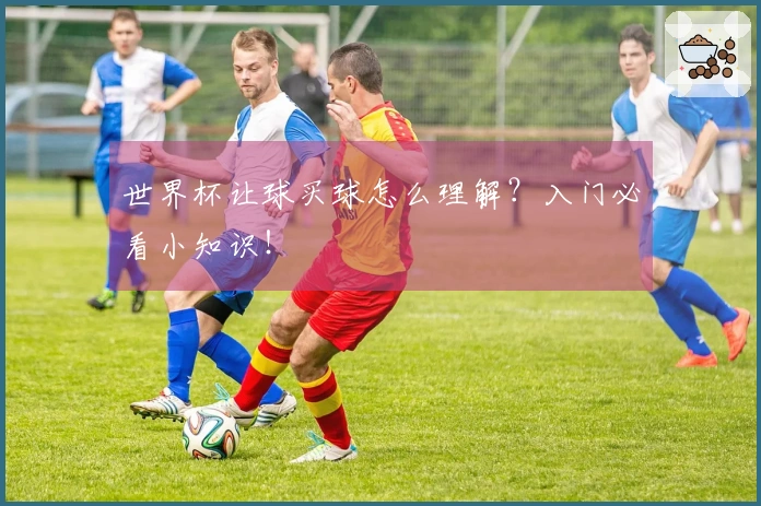 世界杯让球买球怎么理解？入门必看小知识！