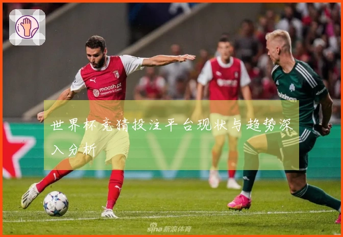 世界杯竞猜投注平台现状与趋势深入分析