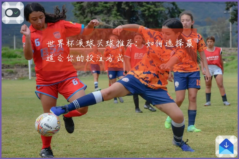 世界杯滚球买球推荐：如何选择最适合你的投注方式