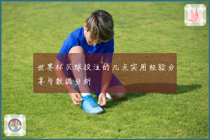 世界杯买球投注的几点实用经验分享与数据分析