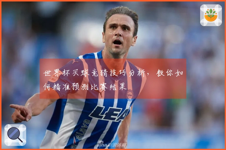 世界杯买球竞猜技巧分析，教你如何精准预测比赛结果