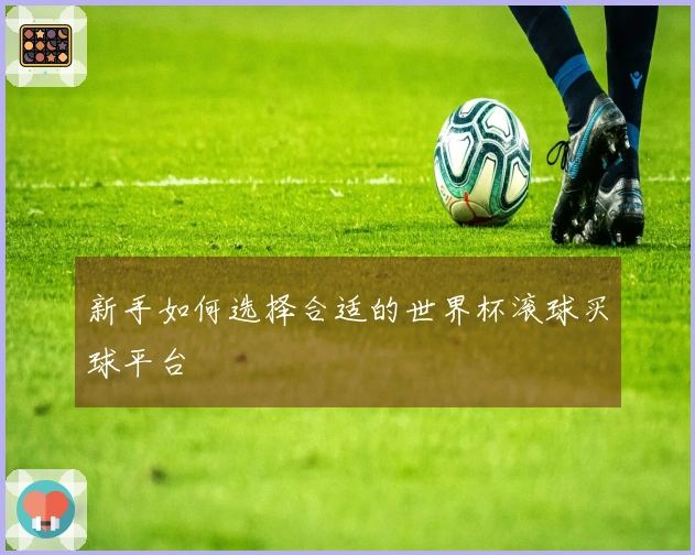 新手如何选择合适的世界杯滚球买球平台