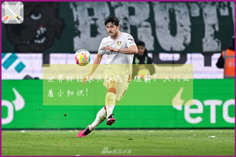 世界杯让球买球怎么理解？入门必看小知识！