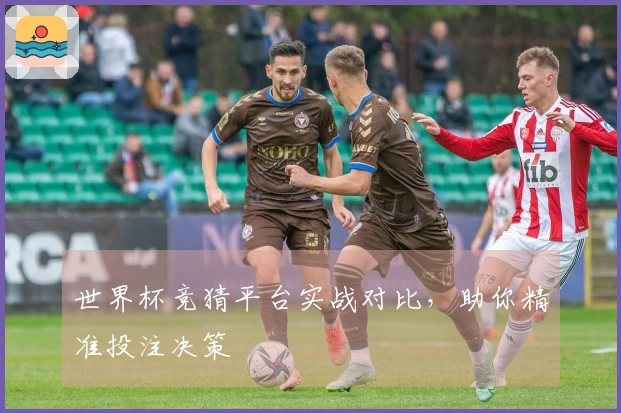 世界杯竞猜平台实战对比，助你精准投注决策