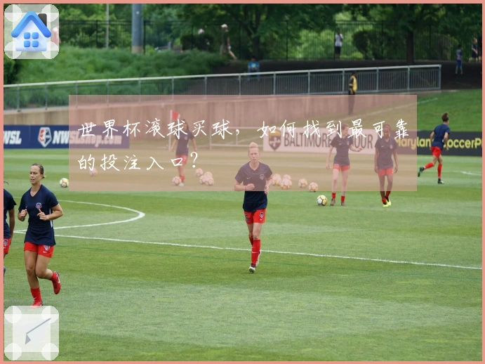世界杯滚球买球，如何找到最可靠的投注入口？