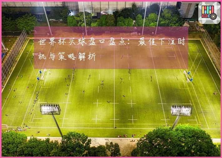 世界杯买球盘口盘点：最佳下注时机与策略解析