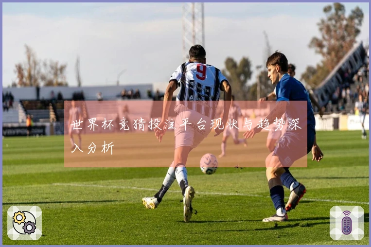 世界杯竞猜投注平台现状与趋势深入分析